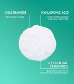Foaming Facial Cleanser - Image 5